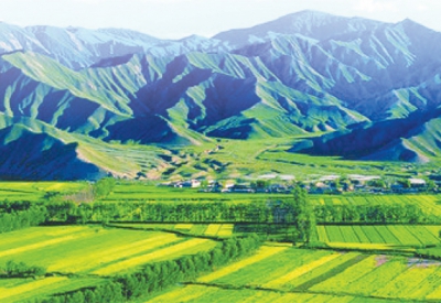 生物農業